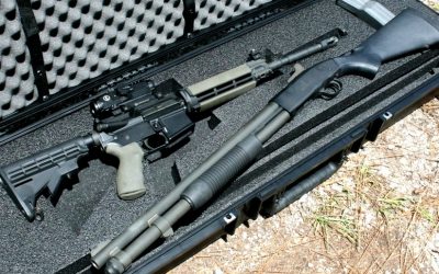 SOTG 027 Pt. 2 – Patriot Arsenal; Guns Every American Should Own