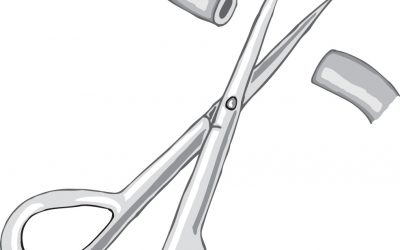 SOTG 043 – You Can’t Sterilize the World