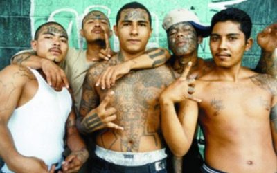 SOTG 050 Pt. 2 – Mexican Thug Gets 30 Years