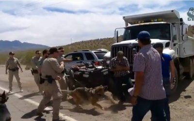 SOTG 060 Pt. 1 – Guns, Cattle, Patriots