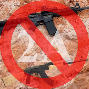 SOTG 078 – No 2A Protection For Your AR-15