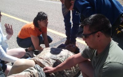 SOTG 100 Pt. 2 – Leave Medical Care to the Pros