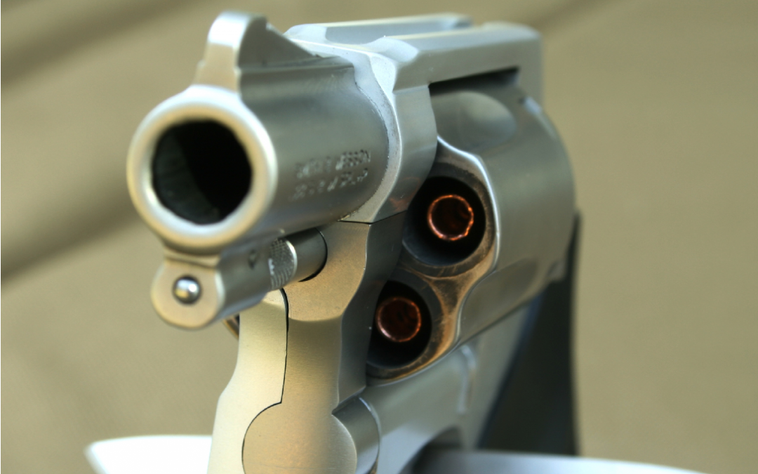 SOTG 254 – Smashing the Gun Control Argument