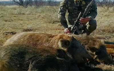 SOTG 340 – Operation Smoked Bacon Part 2