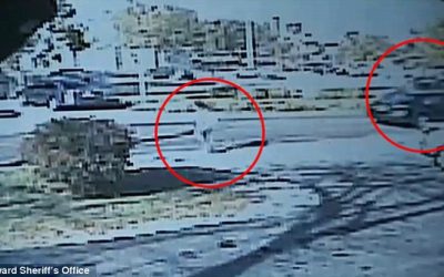 SOTG 347 – This is What Happens When You Fight Back