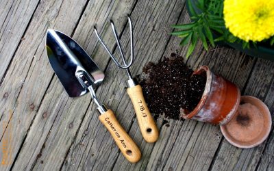 SOTG 713 – Turning Guns into Garden Tools