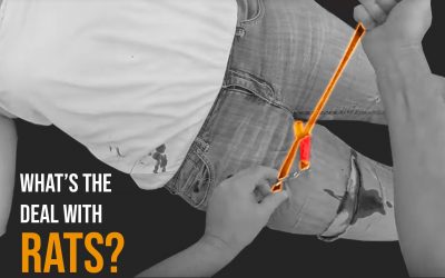 SOTG 837 – What’s the Deal with RATS?