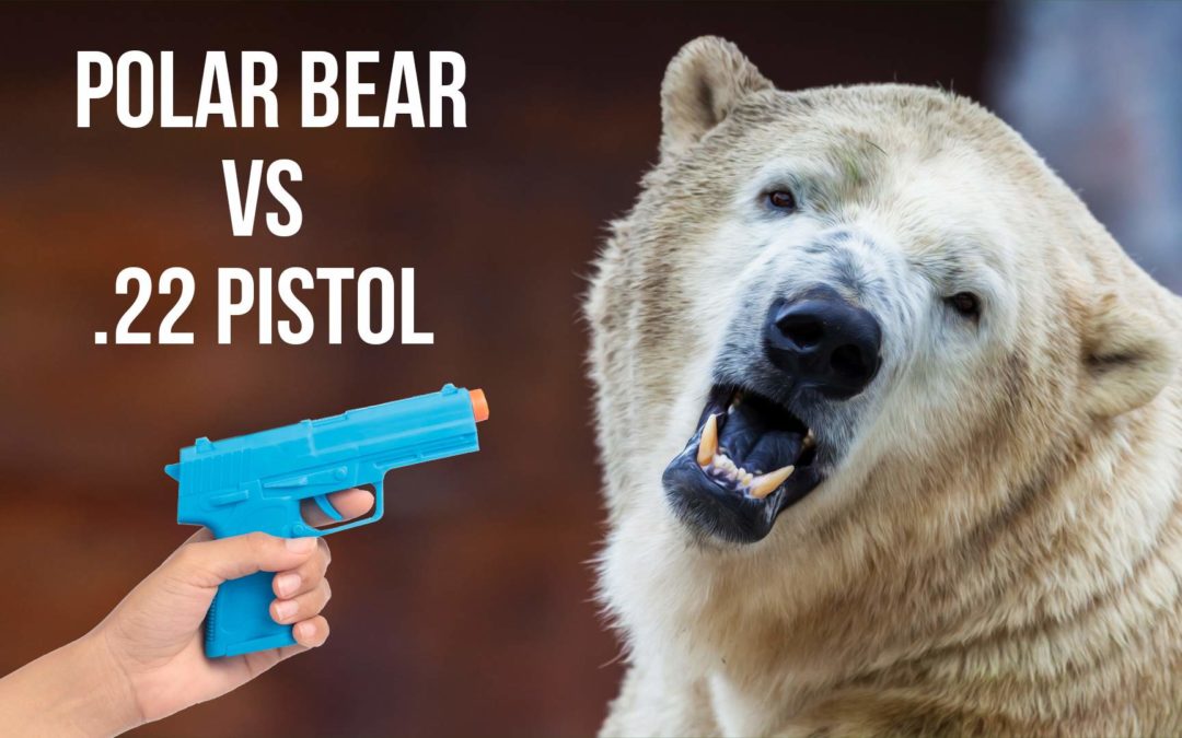 SOTG 896 – Polar Bear vs 22 Pistol