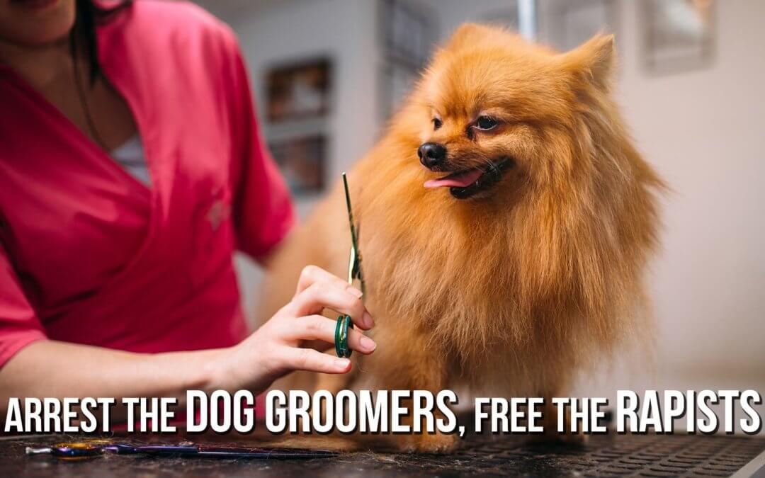 Arrest the Dog Groomers, Free the Rapists | SOTG 948