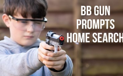 BB Gun Prompts Home Search | SOTG 960
