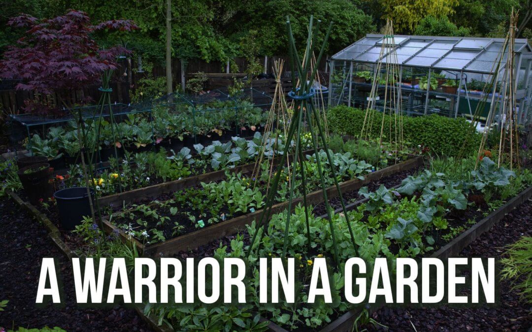 A Warrior in a Garden | SOTG 972
