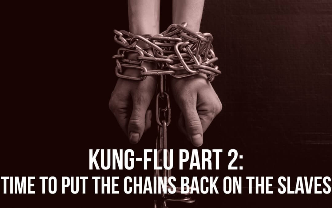 Kung-Flu Part 2: Time to put the Chains back on the Slaves | SOTG 1007