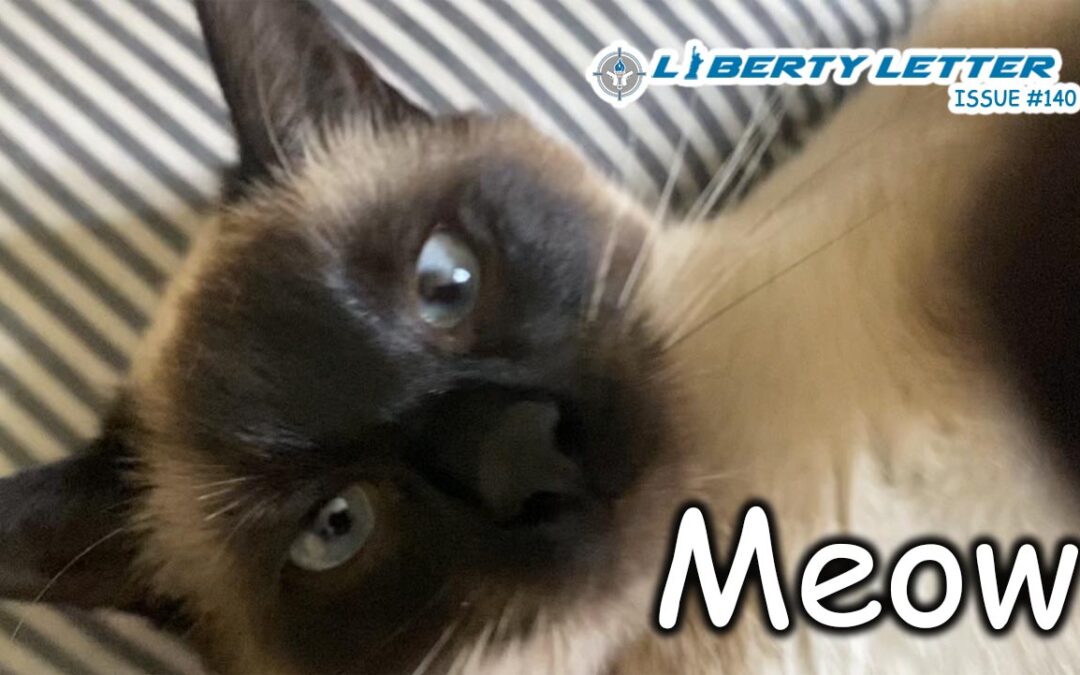 Meow | Liberty Letter #140