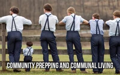 Community Prepping and Communal Living