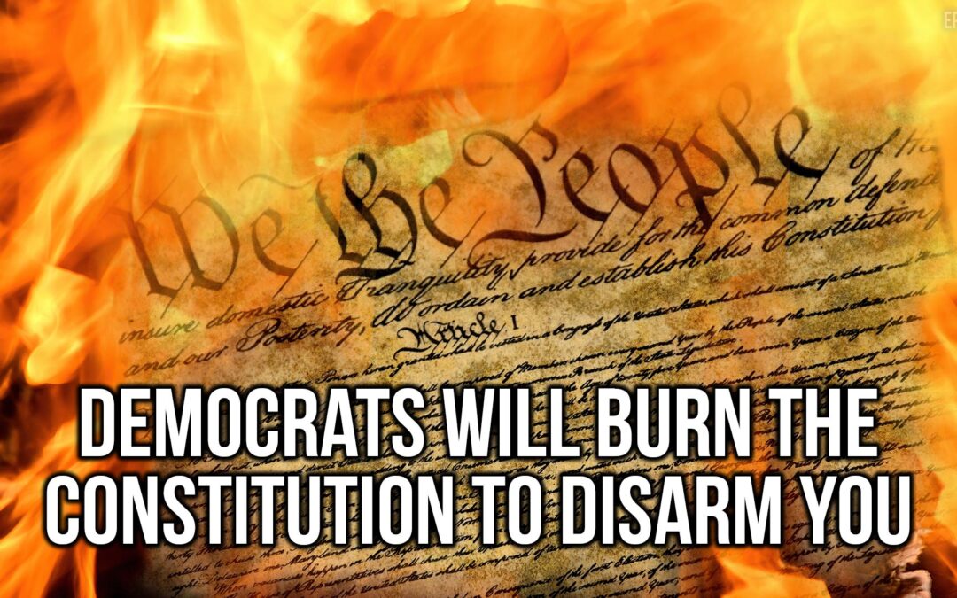 Democrats will Burn the Constitution to Disarm You | SOTG 1141