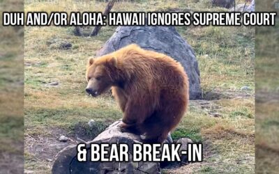 Duh and/or Aloha: Hawaii Ignores Supreme Court & Bear Break-In | SOTG 1151
