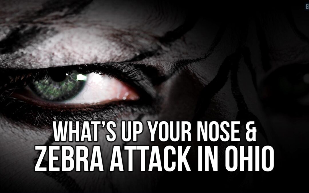 What’s Up Your Nose & Zebra Attack in Ohio | SOTG 1180