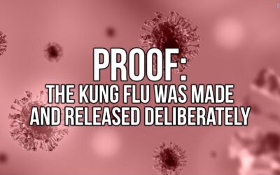 PROOF: The Kung Flu was Made and Released Deliberately | SOTG 1191