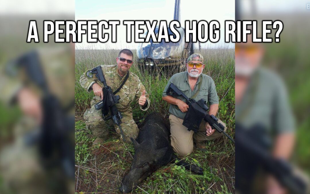 A Perfect Texas Hog Rifle? | SOTG 1199