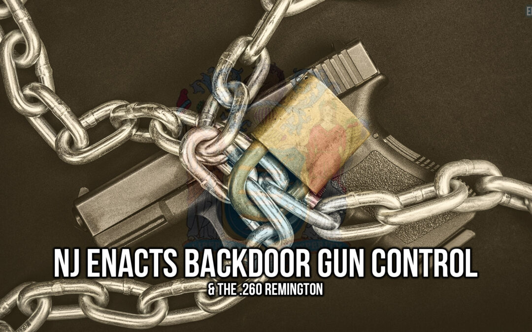 NJ Enacts Backdoor Gun Control & The .260 Remington | SOTG 1203