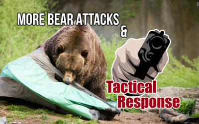More Bear Attacks & Tactical Response | SOTG 1207
