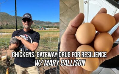 Chickens: Gateway Drug for Resilience w/ Mary Callison | SOTG 1210